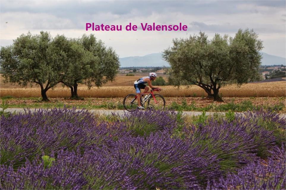 Coeur De Ville, T2, Rue Pietonne, Digne Les Bains מראה חיצוני תמונה